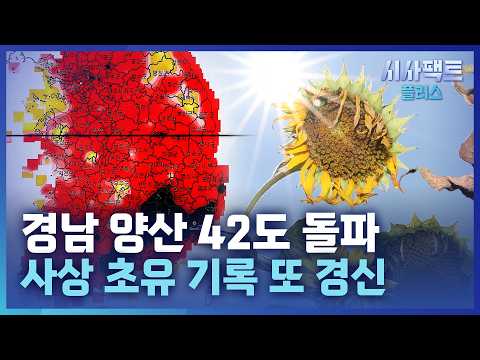 [시사팩트 플러스] 사상 초유의 기록적인 폭염… 한낮 42도 돌파에 '비상'