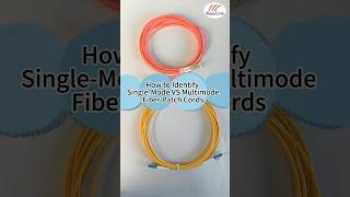 Single Mode vs Multimode Fiber Patch Cords 3 Easy Ways to Tell Them Apart