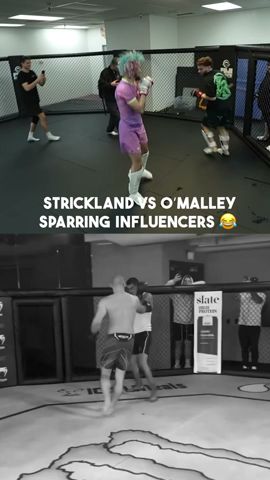 Sean Stirckland vs Sean O'Malley Sparring Influencers