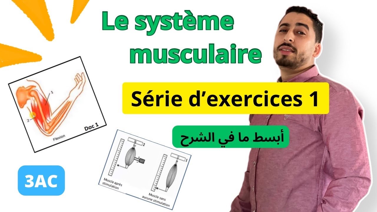 3AC : Le système musculaire🔥Exercices 🔥| تمارين في الجهاز العضلي