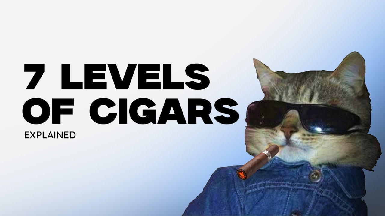 THE 7 LEVELS OF CIGARS EXPLAINED