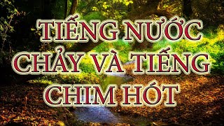 Tiếng nước suối chảy róc rách Chim hót trong rừng 🎵 Nhạc thư giãn dễ ngủ ngon Nhạc thiền tập Yoga