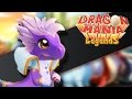 Dragon mania legends  combat de boss 