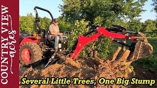 Digging out stumps with the backhoe and 21 Turkeys go in the brooder.