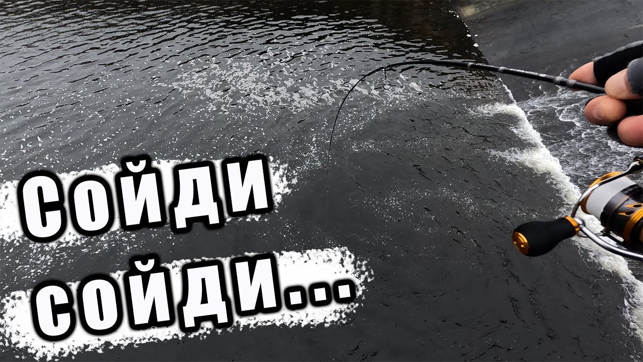 БЫЛ ОТЛИЧНЫЙ КЛЁВ, НО НА КРЮЧОК СЕЛ МОНСТР! ОСТАВАЛОСЬ ТОЛЬКО НАДЕЯТЬСЯ, ЧТО ОН СОЙДЁТ!!!