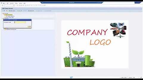 Lesson 2 - Navigation in SAP Systems Part 2