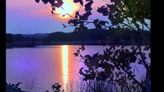 I Over Looked An Orchird 'By' Mickey Gilley