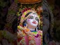 #jnmastmi #krishnabhajan #radheradhebol #krishnabhajan krishna#2024