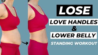 15 MIN LOVE HANDLES AND LOWER BELLY FAT WORKOUT Standing Only | No Equipment! screenshot 4