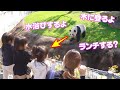 パンダ桃浜の神ファンサービスにこども大絶叫www