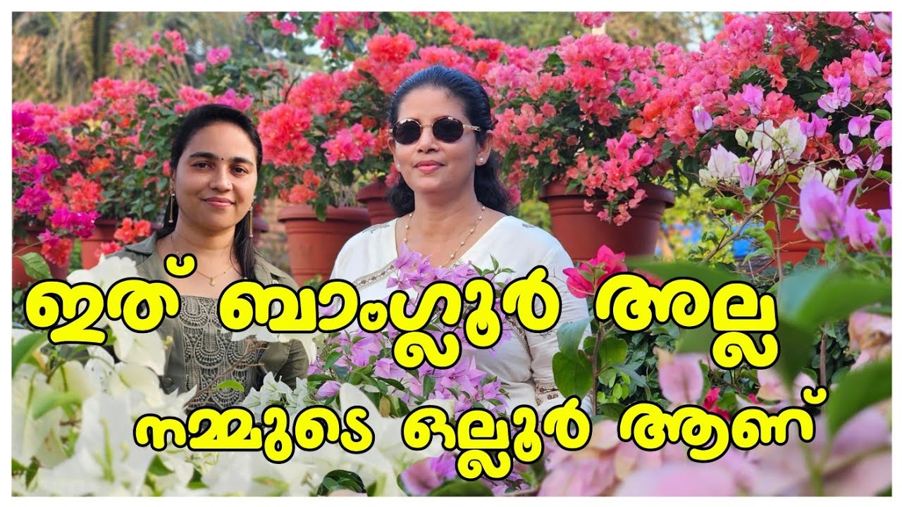 ഞങ്ങളെ വിസ്മയിപ്പിച്ച് കളഞ്ഞു.../Bougainville garden /Family vlog /Home garden /Vegetable /Krishi