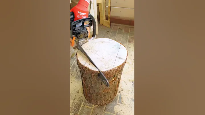 DIY stools and a coffee table from one stump №Shorts