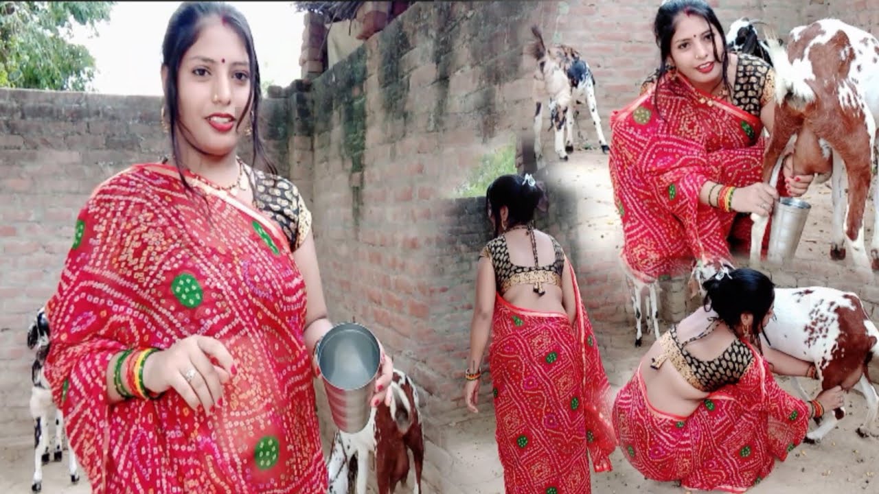 दूध कैसे निकालते हैं // हम आप को सिखाते हैं // पहले अभी निकाला एक गिलास दूध // प्रिया यादव