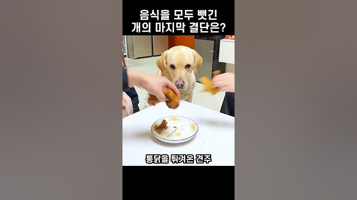 소시지도 통닭도 모두 사라지자 개가 보인 놀라운 반응