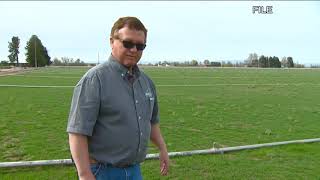 You Can Grow It: Get a nice lawn with sod