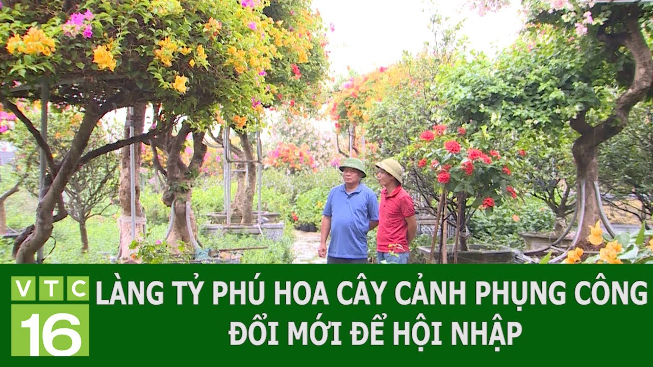 LÀNG TỶ PHÚ HOA CÂY CẢNH PHỤNG CÔNG ĐỔI MỚI ĐỂ HỘI NHẬP | VTC16
