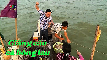 Trải nghiệm săn cá bông lau