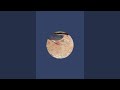 🔴 Live Fish Cutting | Fresh Fish Preparation
