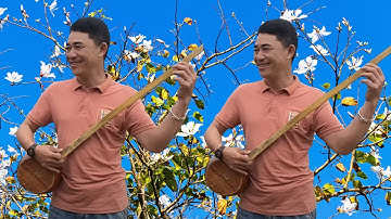 Tính Tẩu | Đàn Tính Tẩu – Giai Điệu Của Núi Rừng Và Tình Yêu | Khắp Thái