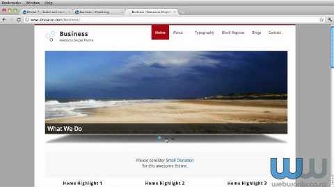 Your Web Wonks Website