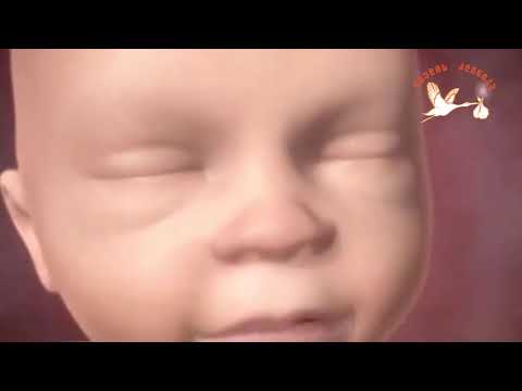 ვიდეო: მოიჭედება თუ არა ბავშვი ორსულობისას?