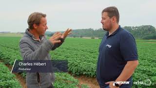 L'irrigation de précision pour la pomme de terre