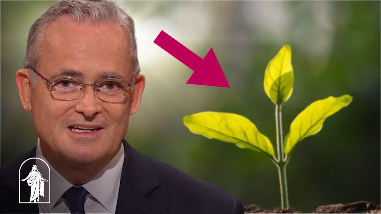 New Beginnings through Jesus Christ