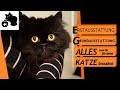 ðŸ”¥Katzen Erstausstattung - Anschaffung fuÌˆr Katze - Checkliste und Tipps fÃ¼r die Grundausstattun