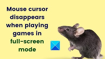 Mouse cursor disappears when playing games in full screen mode