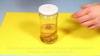 Hueso de goma. Experimentos (Divertiaula). Rubber bones.  Science experiment.
