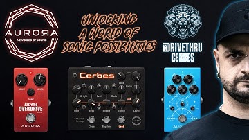 Aurora DSP DriveThru: Cerbes 🔊 UNLOCKING THE WORLD OF SONIC POSSIBILITIES