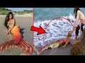 महिला को असली जलपरी मिलने के बाद क्या हुआ, एक बार तो जरूर देखे | Real Life Mermaid Caught On Camera