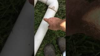 Self Cleaning Rain Water Tank 22-june-2017
