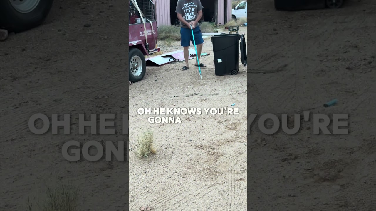 I almost stepped on the RattleSnake