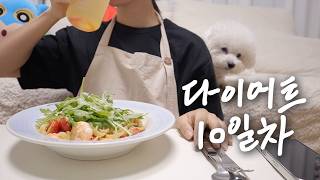 10일차 -?kg🔥 참을 수 있는 정도의 배고픔 견디는 다이어트브이로그 screenshot 4
