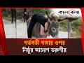 গর্ভবতী গাধার ওপর অ'মা'নুষিক নি'র্যা'ত'ন তরুণীর | Pregnant Donkey | Kalbela