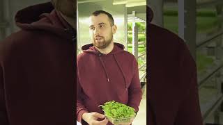 Як виглядає найдорожче насіння? Показує засновник ферми Micro Green Прикарпаття