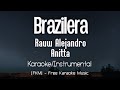 Rauw alejandro x anitta  brazilera karaokeinstrumental  viceversa  fkm free karaoke music