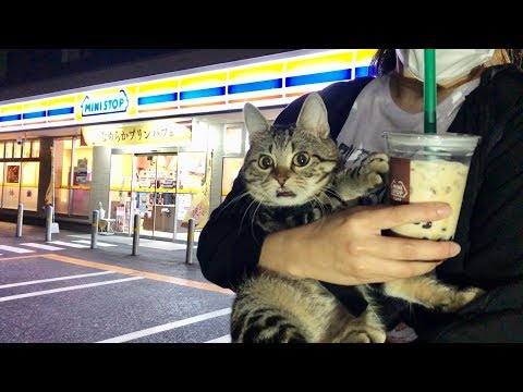 どうしても妹とお出かけしたくてこっそり夜のデートに連れてってもらう猫w