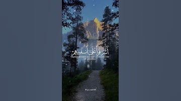 سوره الزمر القارئ بلال در بالی لا تقنطو من رحمة الله #quran #اكسبلور #explore