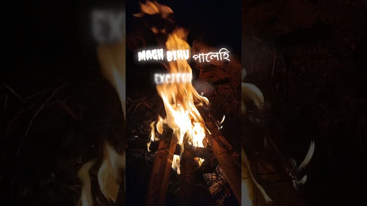 No Yaar💔💔💔 Assamese Trending Sad Bihu Song 😭