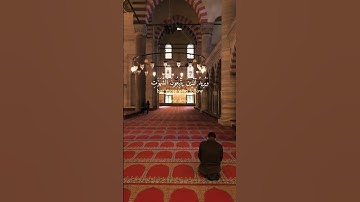 "والله يريد أن يتوب عليكم" تلاوه هادئه وخاشعه تزيل همومك للشيخ علي جابر 🌿❤️