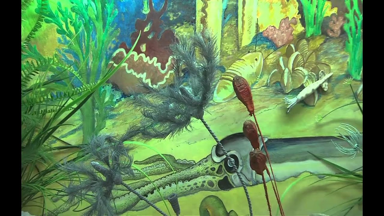 Illinois Stories Quincy Museum 50th Anniversary WQEC TV PBS Quincy