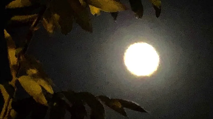 8dio Score This: Moon -- Rory Starks