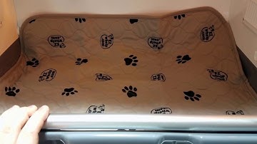 Pet Brooder ICU - Animal Intensive Care Unit