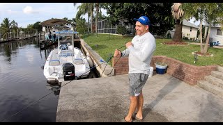 New Project, on the water