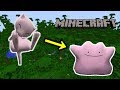 【ゆっくり実況】メタモン欲しいしミュウでも捕まえに行くかー←!? pixelmon実況プレイ part13 【minecraft×ポケモン】