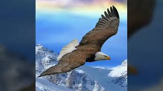 Eagles - Dauntless, Audiomachine