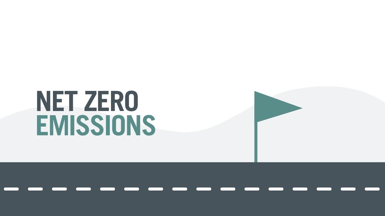 We Care | Environmental Impact: Endava’s Journey to Net Zero emissions – February 2022