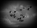 Русские Народные Песни - Летят утки и два гуся